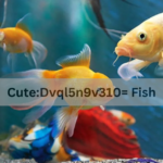 Cute:Dvql5n9v310= Fish