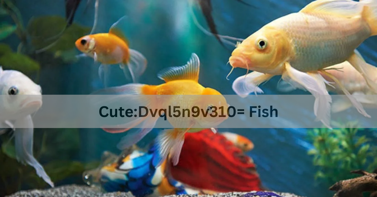 Cute:Dvql5n9v310= Fish