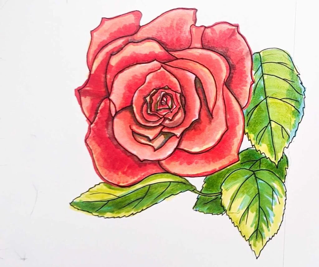 Understanding the Structure of a Rose: